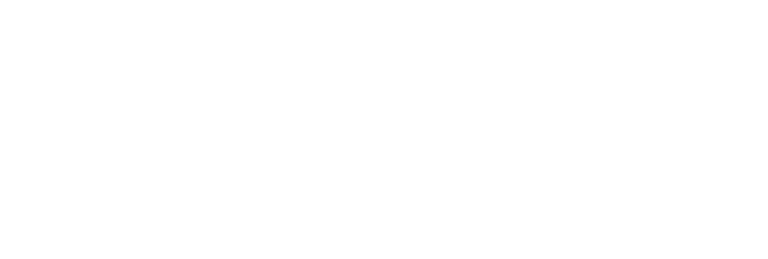 logo light